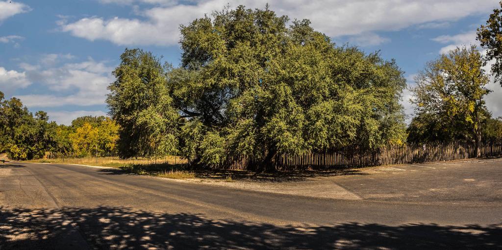 Cypress Fairway Village Wimberley Eksteriør billede